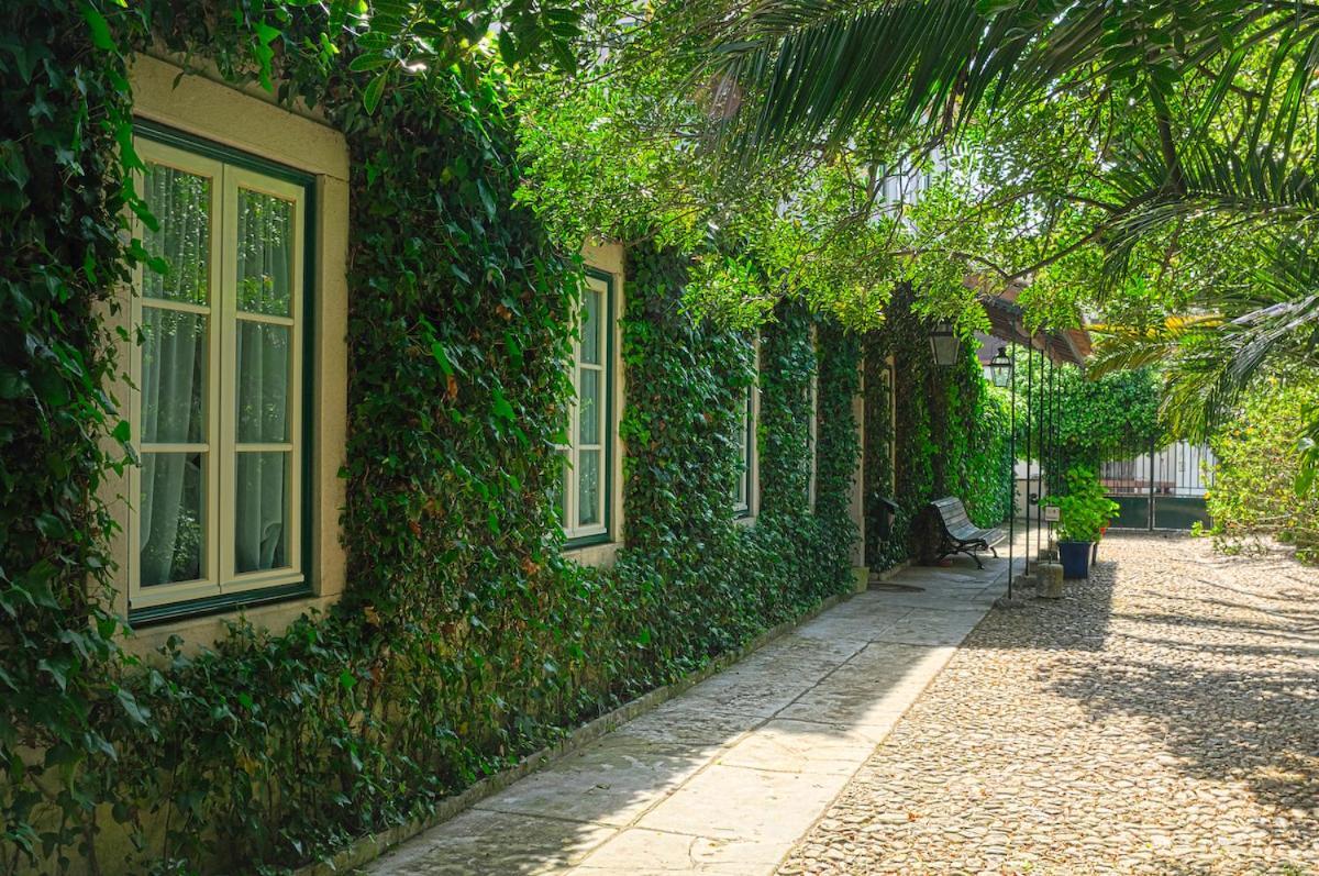 בית הארחה ריו מאיור 	Casa Do Foral מראה חיצוני תמונה